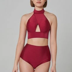 All Pole Wear Shark Polewear High Waist Shorts - Wine