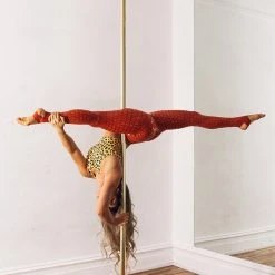 All Pole Wear Creatures Of XIX Gecko Grip Leggings - Red Rust 15 All Pole Wear Creatures Of XIX Gecko Grip Leggings - Red Rust