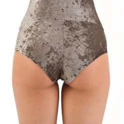 Dragonfly Betty High-Waisted Shorts - Velvet Stone All Pole Wear