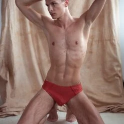 Sway Alton Shorts - Rusty Jasper New In