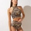 All Pole Wear Shark Polewear Tanna Top - Leopard