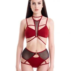 All Pole Wear Hamade Activewear High Waisted Mesh Garter Bottoms - Brick Red 11 All Pole Wear Hamade Activewear High Waisted Mesh Garter Bottoms - Brick Red