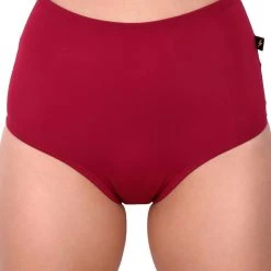 Cleo The Hurricane Essential High Waisted Shorts - Merlot All Pole Wear