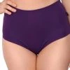 Cleo The Hurricane Essential High Waisted Shorts - Purple Smoke All Pole Wear
