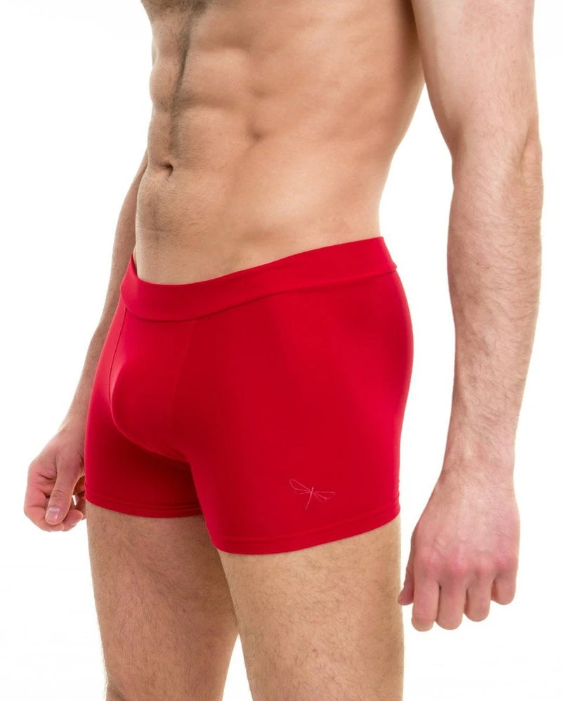 Dragonfly Mike Shorts - Red All Pole Wear 3 Dragonfly Mike Shorts - Red All Pole Wear