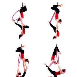 Books Spin City The Ultimate Doubles Hoop Bible