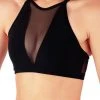 Dragonfly Victoria Sports Bra - Black Mesh All Pole Wear